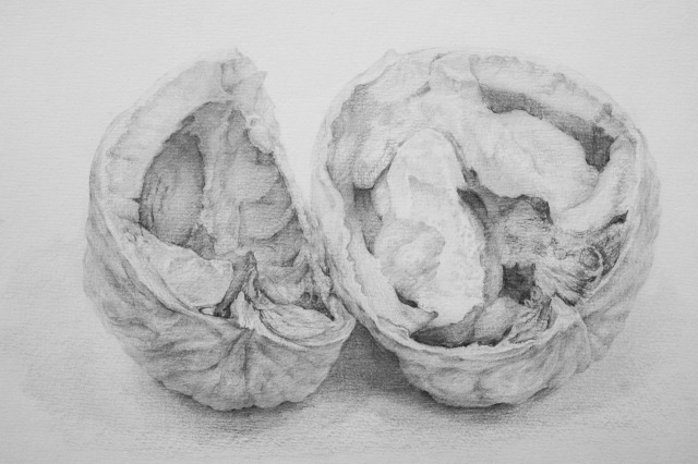 藝術学舎 | 藝術学舎 | 京都芸術大学がおくる社会人のための公開講座